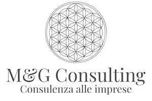 Consulting MG